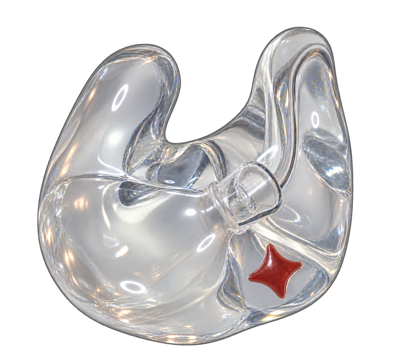 Läbipaistev custom eartip